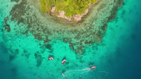 Vista-Aérea-De-Arriba-Hacia-Abajo-Del-Grupo-De-Snorkel-Frente-A-La-Costa-De-La-Isla-Fiji.