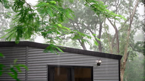 Granny-Flat-Demountable-Corrugated-Metal-Apartment-on-Rainy-Day-Tin-Roof-Close-Up-With-Leafs-in-Foreground