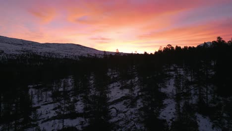 Lebendige-Sonnenuntergangsfarben-über-Verschneiten-Norwegischen-Wäldern,-Heiterer-Winterabend