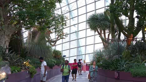 Landmark-tourist-attraction,-people-visiting-the-world-largest-glass-greenhouse-Flower-Dome-at-Gardens-by-the-bay-with-variety-of-flowers-and-plants-display-in-the-conservatory,-static-shot