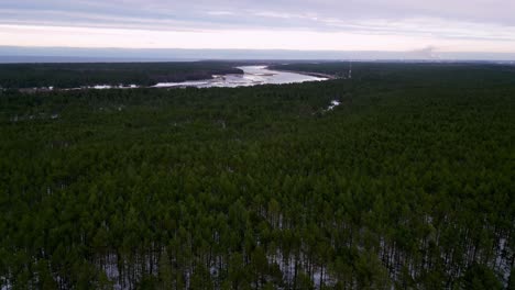 Aerial-view-of-a-lush-green-forest-with-a-winding-blue-river-snaking-through-the-center,-with-clouds-visible-in-the-distance