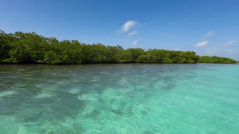 Pov-Segeln,-Kristallklare-Lagune,-Neben-Tropischen-Mangroven,-Los-Roques-Nationalpark