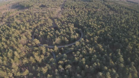 Endless-dense-woodland-with-round-walkway-track,-aerial-view