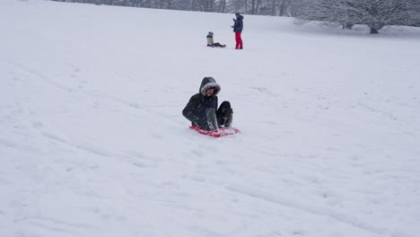 Young-Boy-Sledding-Downhill-On-Snow-During-Snowfall-At-Woluwe-Park-In-Belgium