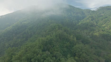 Aerial-view-of-misty-mountain-forest