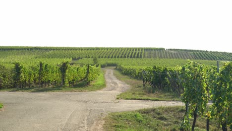 Crossroads-at-Hunawihr-Outskirts-in-Eastern-France