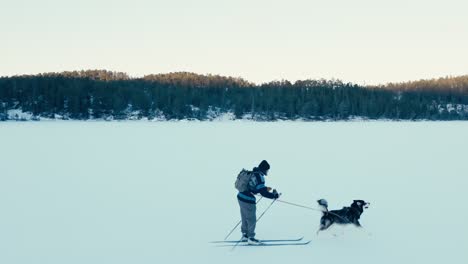 Ein-Mann-Fährt-Mit-Seinem-Hund-Ski-In-Einer-Verschneiten-Landschaft---Kamerafahrt