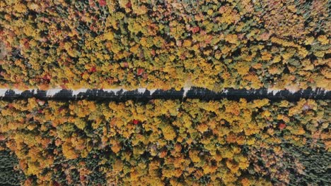 Landstraße-Zwischen-Herbstlichen-Wäldern---Luftaufnahme-Von-Oben-Nach-Unten