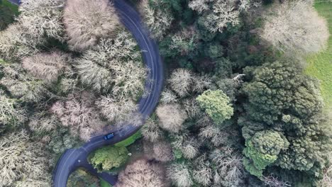 Guernsey-Vals-De-Terres-Un-Vuelo-Por-La-Hermosa-Carretera-Boscosa-Desde-St-Peter-Port-Hacia-St-Martins-Famosa-Por-Las-Subidas-De-Colinas-En-Un-Brillante-Día-De-Invierno-Siguiendo-La-Empinada-Y-Sinuosa-Carretera