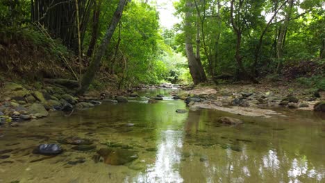 Flying-up-a-picturesque-stream-as-it-meanders-peacefully-through-a-verdant-forest