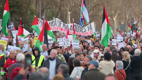 Demonstranten-Versammeln-Sich-Und-Halten-Plakate-Und-Palästinensische-Flaggen-In-Den-Händen,-Um-Ihre-Solidarität-Mit-Palästina-Auszudrücken