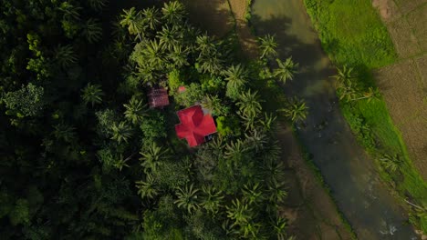 üppige-Landschaft-Der-Insel-Bohol-Mit-Fluss-Und-Palmen,-Durchscheinendes-Sonnenlicht,-Luftaufnahme