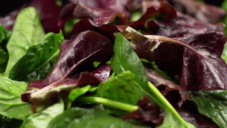 Close-up-macro-of-rotating-fresh-green-colorful-salad-and-spinach