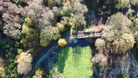 Aerial-downwards-shot-over-the-lakes-and-bridge-at-Otterhead-Lakes-South-West-England