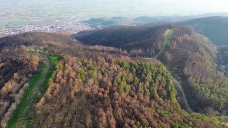 Aerial-Shot-of-Forest-after-wildfire,-Rhodope-Sostis,-Greece-Footage