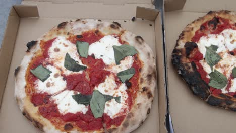 Two-cooked-Margherita-pizzas-in-a-take-out-box-from-Pizzeria-Bianco-in-Phoenix,-Arizona-with-video-panning-left-to-right-medium-shot