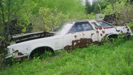 Ein-Ford-Thunderbird-Aus-Den-1970er-Jahren-Sitzt-Verlassen-In-Den-Bäumen-Und-Rostet-Vor-Den-Elementen.