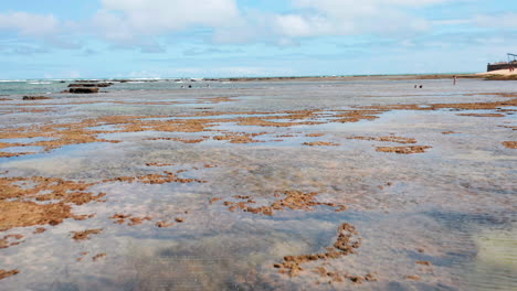 Luftaufnahme-Des-Strandes-Praia-Do-Forte,-Des-Korallenriffs,-Des-Palmenbereichs-Und-Einiger-Leute,-Die-Sich-Im-Wasser-Vergnügen,-Praia-Do-Forte,-Bahia,-Brasilien