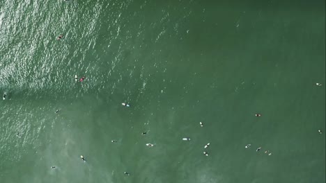 Aerial-Surfers-Green-Ocean-Overhead-Shot