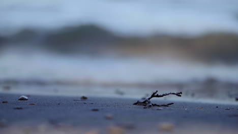 Seashore-Close-up-on-Small-Branch,-Waves-Calmly-Washing-In