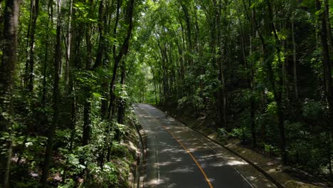 Sun-dappled-road-through-the-Man-Made-Forest-in-the-Philippines,-enveloped-by-lush-greenery