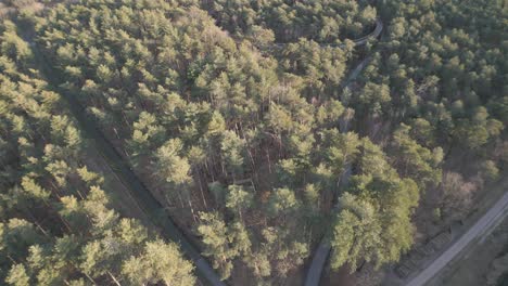 Hiking-pathway-in-beautiful-natural-forest,-aerial-drone-ascend-view