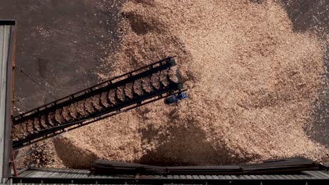 Holzspäne-Werden-Durch-Ein-Förderband-Im-Sägewerk-Zu-Einem-Vorrat-Transportiert