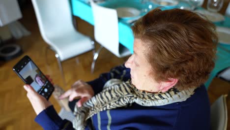 Grandmother-old-woman-learns-to-take-selfie-using-front-facing-camera-raising-to-head-and-talking-out-loud