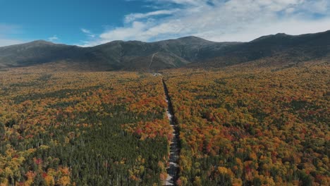 Country-Road-Between-Lush-Autumn-Forest---Aerial-Drone-Shot