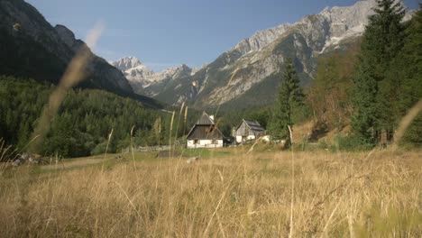 idyllic-cottages-in-alpine-valley-in-Trenta,-slovenia,-grass-in-foreground,-shallow-depth-of-field
