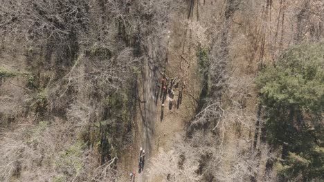 Rotating-drone-shot-of-people-in-a-forest-moving-trees-of-the-ground