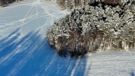 Aerial-view-of-a-snowy-forest-clearing