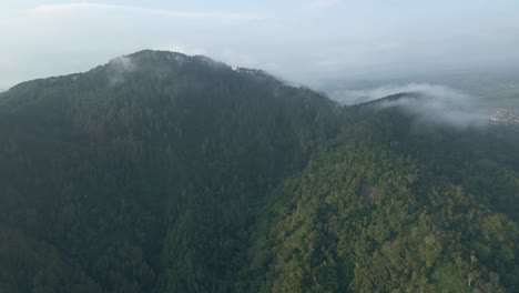 Established-drone-shot-of-rainforest-on-the-mountain-range