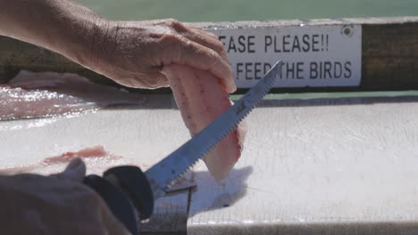 Man-filleting-fish-on-cleaning-table-on-a-dock-in-Sarasota-Florida