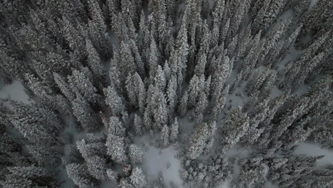 Berthoud-Paso-De-Berthod-Jones-Aéreo-Dron-País-De-Las-Maravillas-Invernal-Parque-Colorado-Nevado-Tormenta-De-Nieve-Polvo-Profundo-Esquí-Snowboarder-Travesía-Montañas-Rocosas-Bosque-Nacional-Vista-De-Pájaro-Hacia-Arriba-Cinematográfico