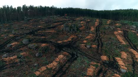 Deforestation-Aerial-View.-Natural-Disaster