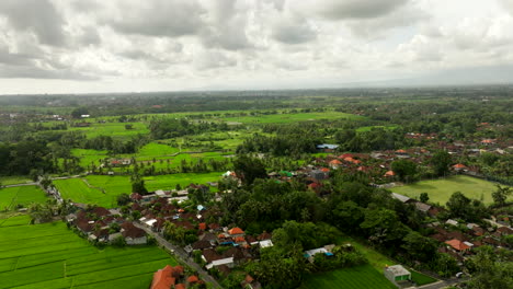 Reisfelder,-Gefühl-Der-Ruhe-Und-Zeitlose-Schönheit,-Die-Bali-Verkörpert