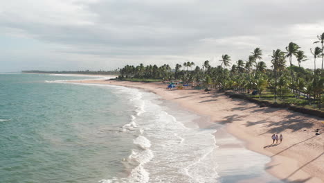 Aerial-view-of-the-beach,-large-green-area-with-palm-trees-and-some-people-walking,-Guarajuba,-Bahia,-Brazil
