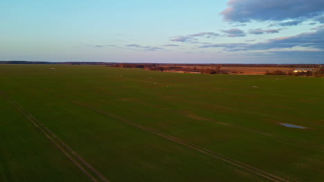 Aerial-view-of-open-field,-countryside-landscape-lightened-by-beautiful-sunset