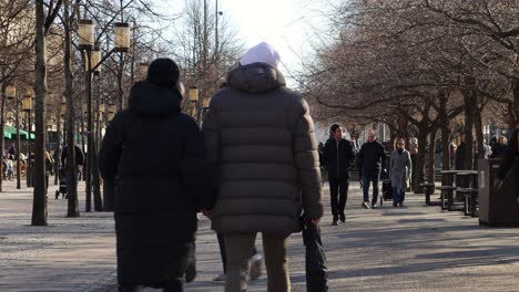 Couple-in-winter-clothes-walk-hand-in-hand-away-from-camera-in-park