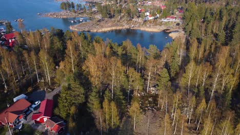 Rote-Und-Weiße-Häuser-Durch-Wald-Und-Küste-Im-Sommer-In-Schweden,-Luftaufnahme
