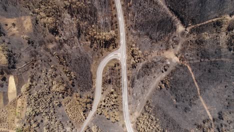 Damaged-forest-road-after-fire-Aerial-View