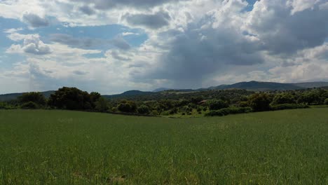 low-altitude-drone-flight-over-a-green-wheat-field-that-falls-through-the-air-with-a-background-of-trees-and-mountains-with-a-blue-sky-with-clouds-on-a-spring-afternoon-in-Avila-Spain