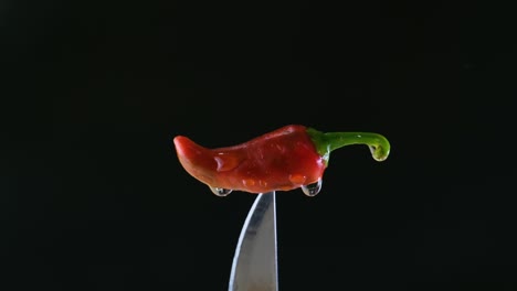 Closeup-shot-of-a-small-red-chilli-on-tip-of-a-knife-with-droplets-of-water-dripping-with-black-background