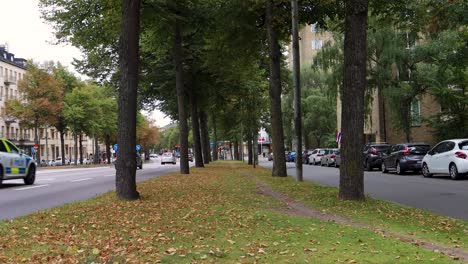 Centered-shot-of-grass,-trees-and-street-traffic-in-autumn,-Stockholm
