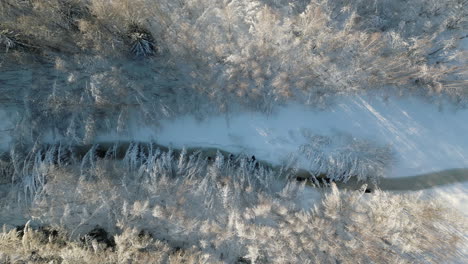 Overhead-aerial-shot-of-frozen-creek,-forest-covered-in-snow,-sun-casting-shadow