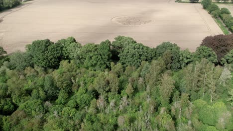 Drohnenflug-über-Bäume-Enthüllt-Kornkreise-Auf-Einem-Farmfeld-In-West-Meon