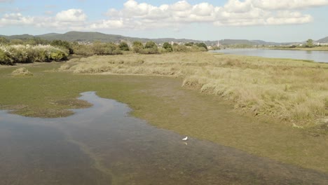 Paisaje-Pantanoso-Sobrevuelo-De-Drones,-Hermosa-Escena-Ambiental