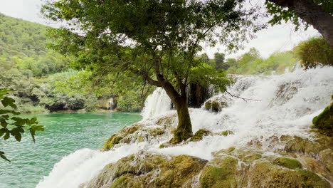 Waterfalls-at-Krka-National-Park-rush-past-a-tree-into-the-turquoise-pond-below
