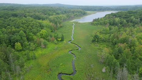 Swamp-Wetland-In-Remote-Location-Aerial-Video-Ecosystem-Global-warming